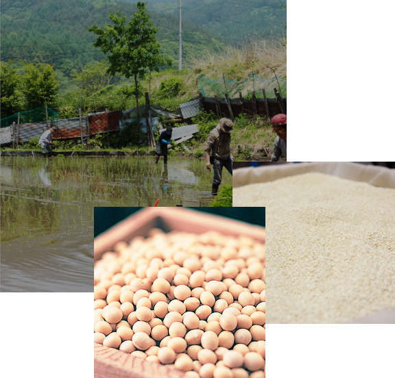 米五が選ばれる理由