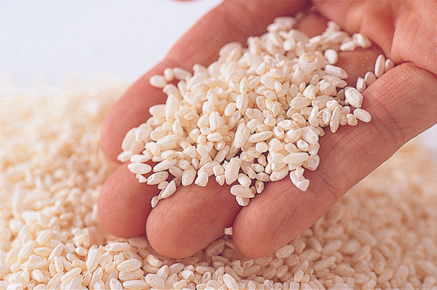 期限が切れた米こうじは使えますか？